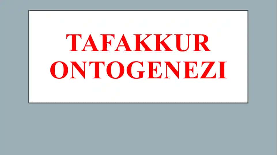 Tafakkur Ontogenez
