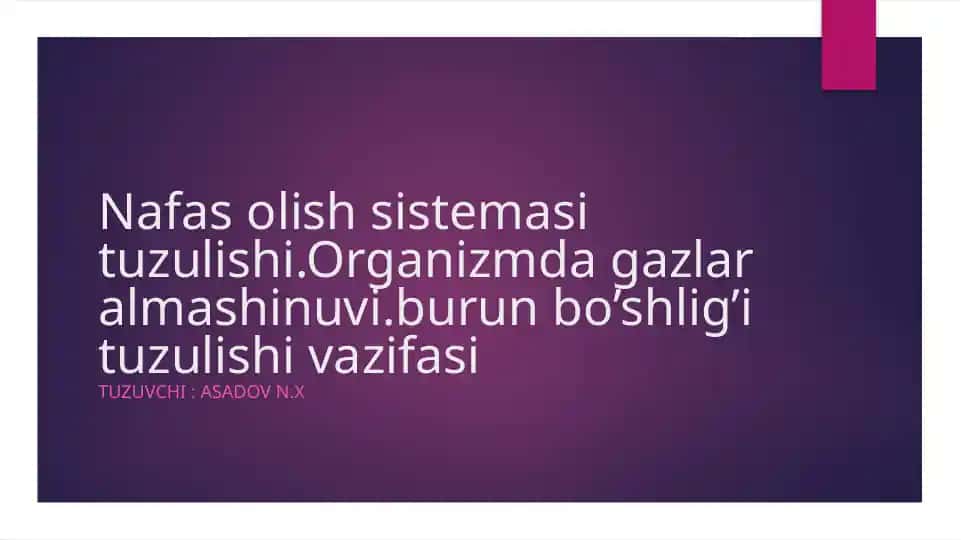 Nafas olish sistemasi tuzulishi