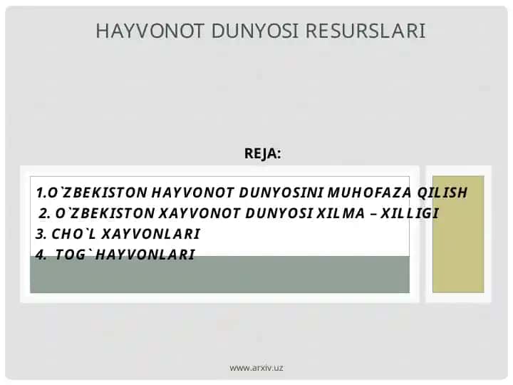 O`zbekiston hayvonlari