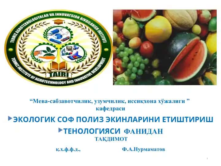 ЭКОЛОГИК СОФ ПОЛИЗ ЭКИНЛАРИНИ ЕТИШТИРИШ ТЕНОЛОГИЯСИФАНИДАН ТАҚДИМОТ