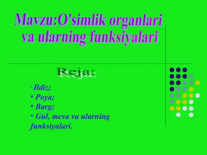 O'simlik organlari va ularning funksiyalari