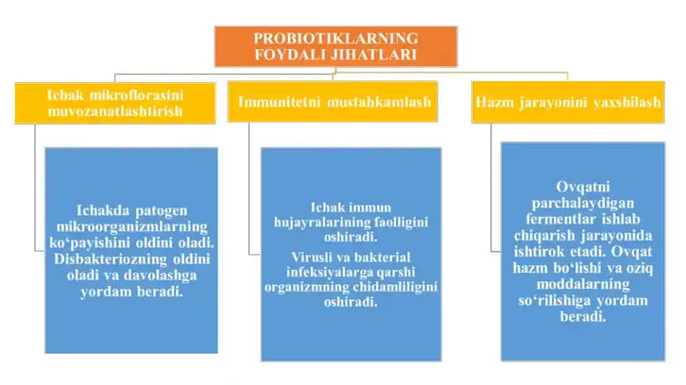Probiotiklarning foydali jihatlari. Klaster, 1 ta.