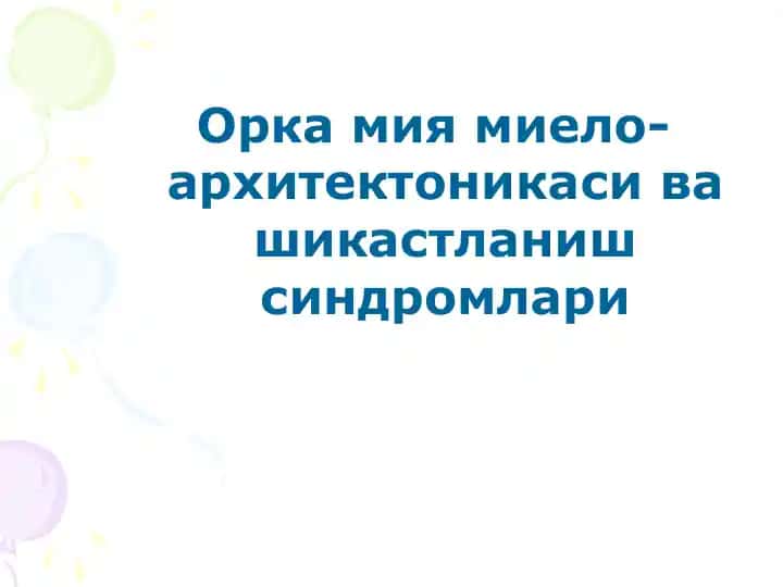Орка мия миело-архитектоникаси ва шикастланиш синдромлари