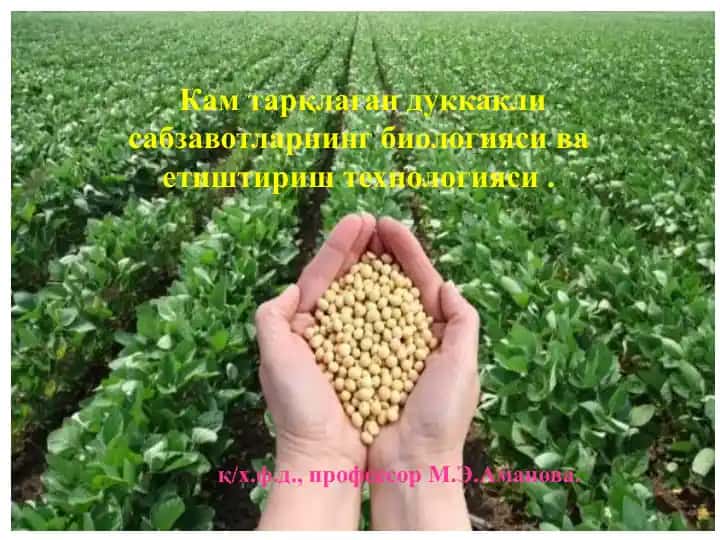 Дуккакли сабзавотларнинг биологияси ва етиштириш технологияси
