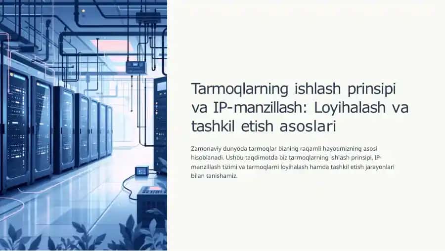 Tarmoqlarning ishlash prinsipi va IP manzillash