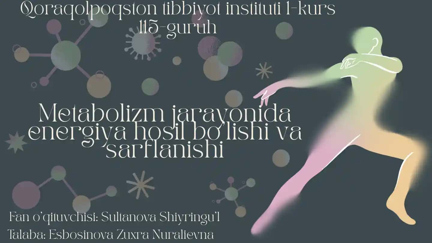 Metabolizm haqida umumiy tushuncha