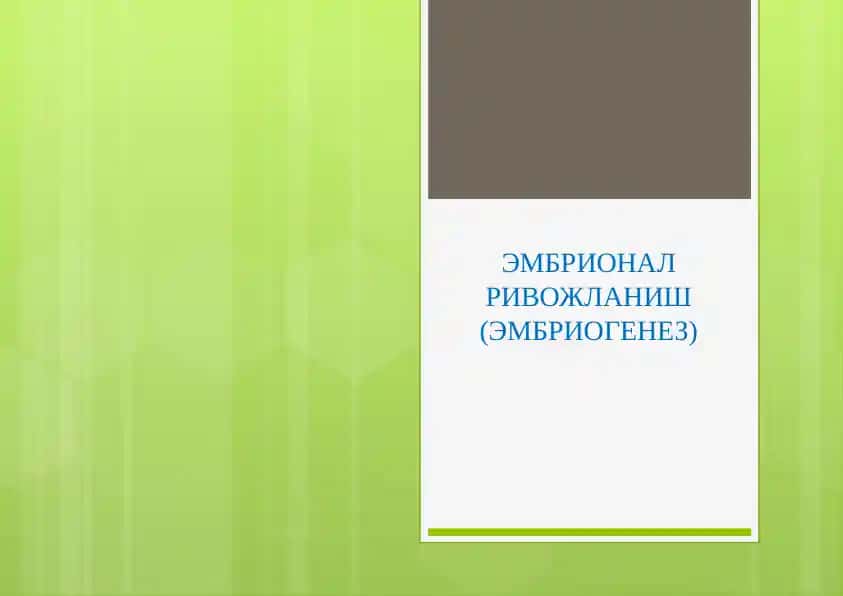 Эмбрионал Ривожланиш (Эмбриогенез)