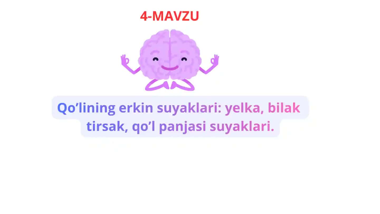 Qo'lning erkin suyaklari