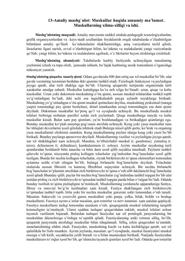 Amaliy mashg'ulot: Muskullar haqida umumiy ma’lumot