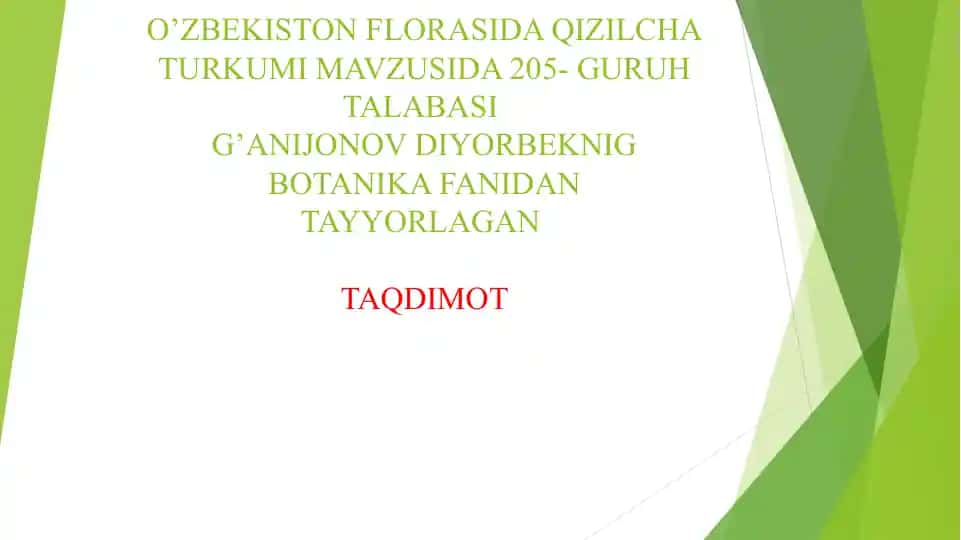 Qizilcha Turkumi