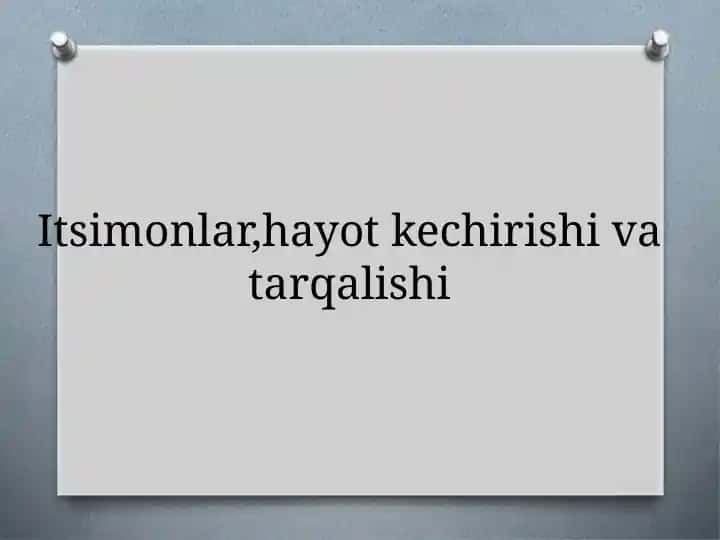 Itsimonlar, hayot kechirish va tarqalishi