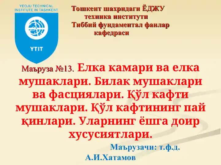 Елка камари ва елка мушаклари