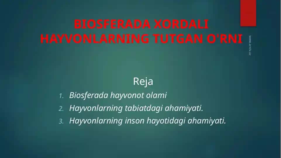 BIOSFERADA XORDALI HAYVONLARNING TUTGAN O'RNI