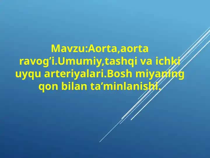 Aorta va Aortaravogi