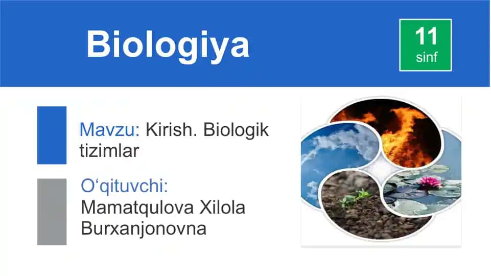 Biologiya mavzusidagi Sinflarda O'qitish Materiallari