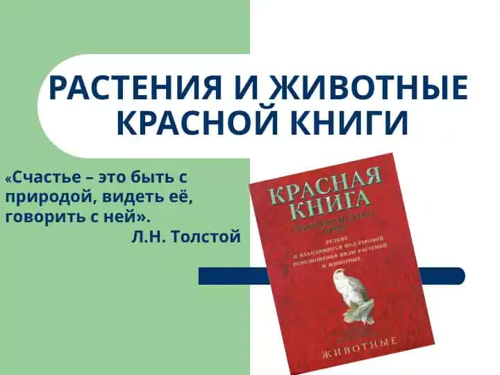 Растения и животные Красной книги