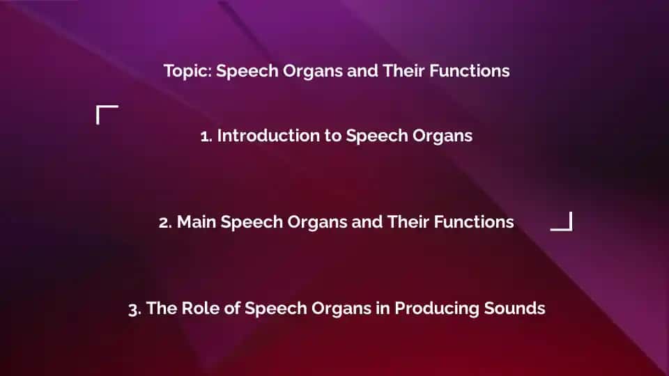 Speech Organs and Their Functions