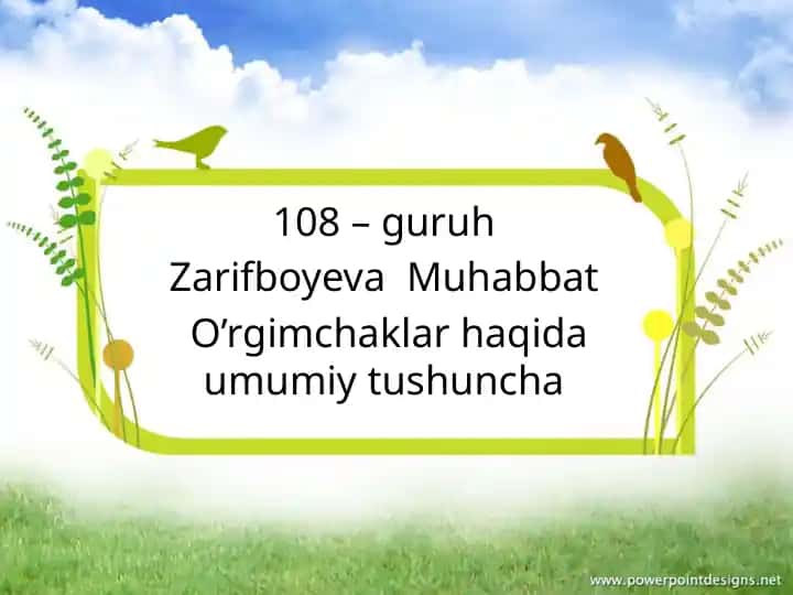 O'rgimchaklar haqida umumiy tushuncha