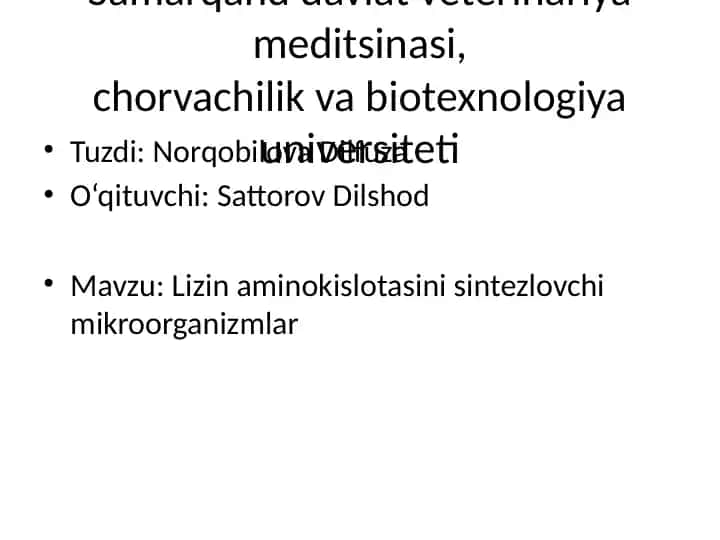 Lizin aminokislotasini sintezlovchi mikroorganizmlar
