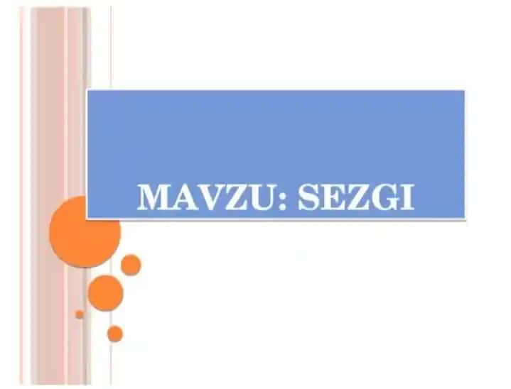 Sezgi haqida ma'lumotlar