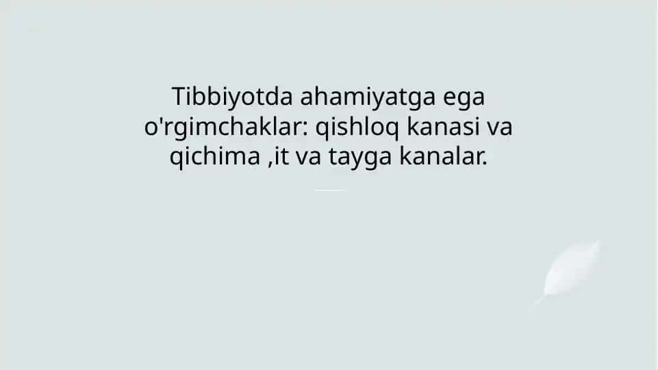 Tibbiyotda o'rgimchaklar