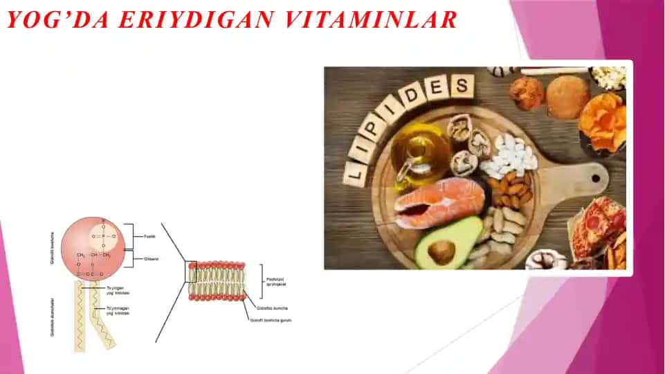 YOG’DA ERIYDIGAN VITAMINLAR