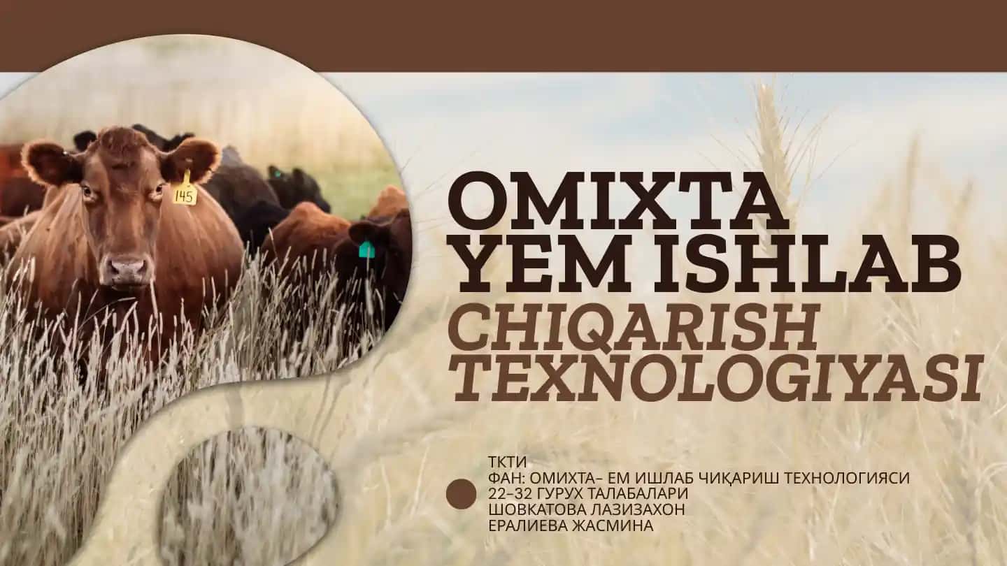 OMIXTA