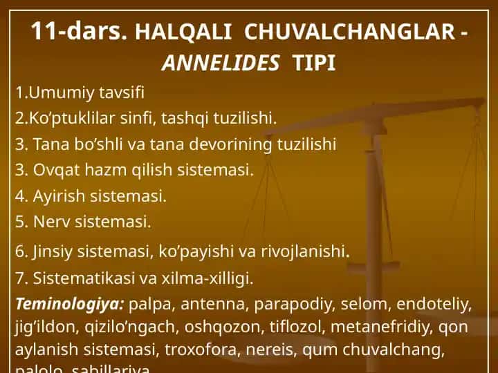 HALQALI CHUVALCHANGLAR - ANNELIDES TIPI