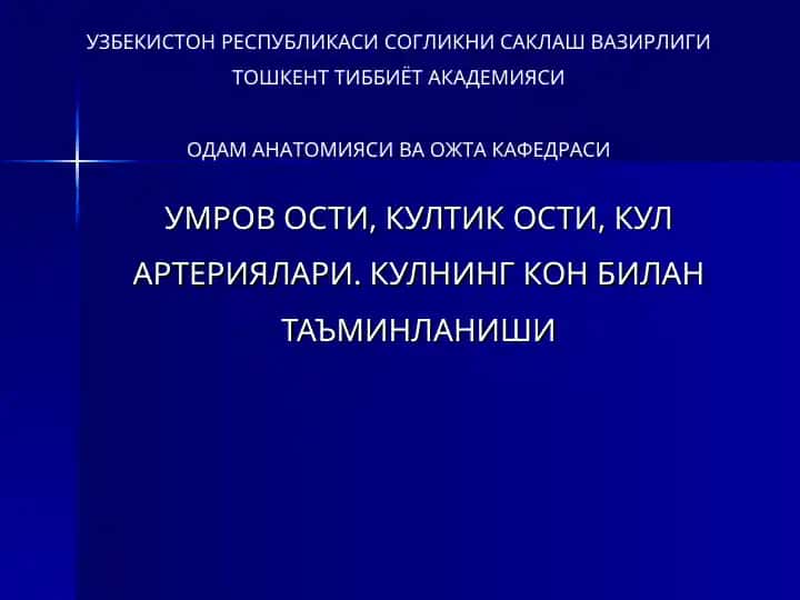 Умров ости, Култик ости, Кул артериялари. Кулнинг кон билан таъминланиши