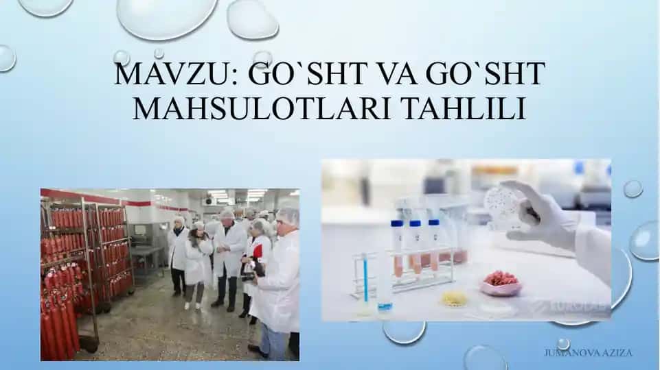 Go'sht va go'sht mahsulotlari tahlili