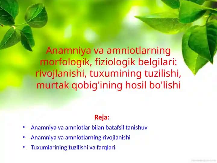 Anamniya va Amniotlar haqida taqdimot