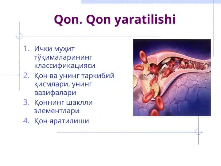 Qon yaratilishi