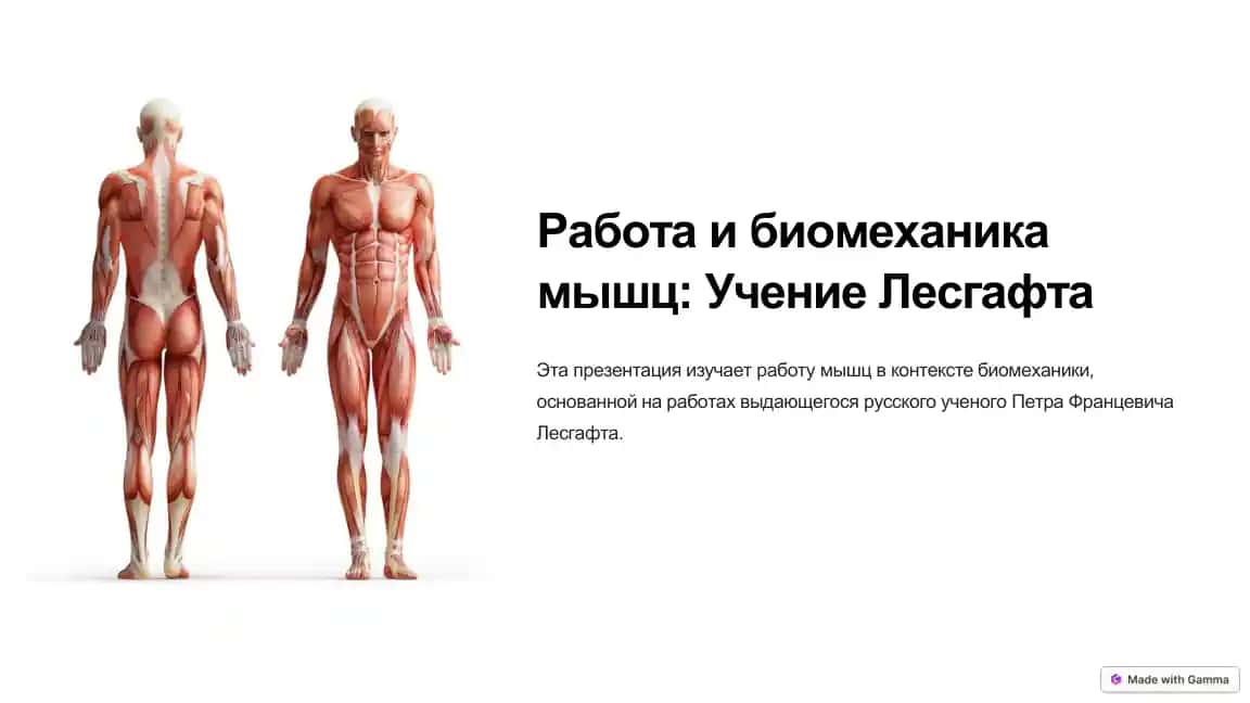 Работа и биомеханика мышц: Учение Лесгафта