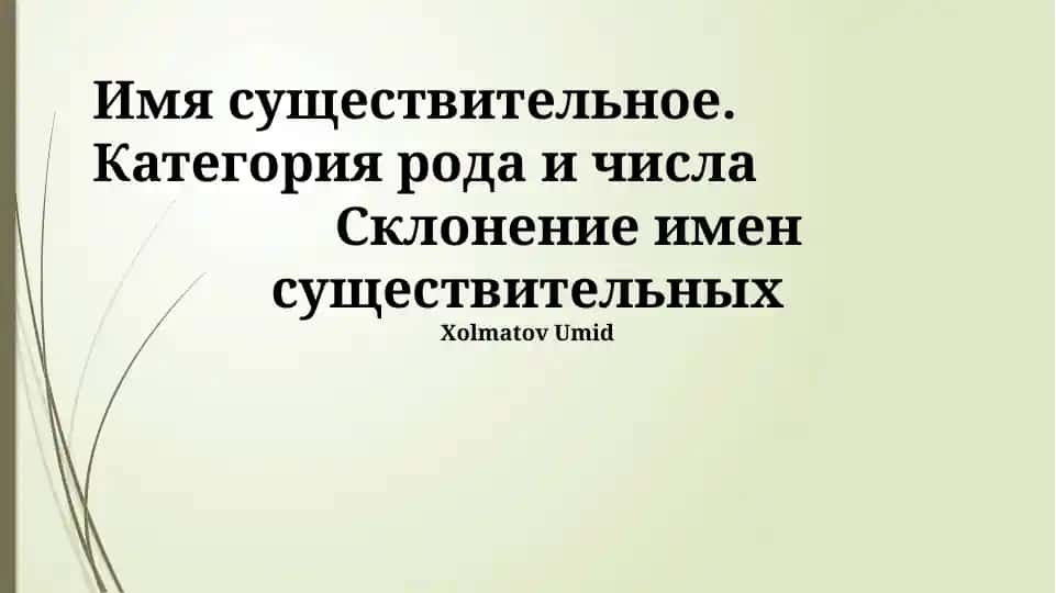 Категории рода и числа