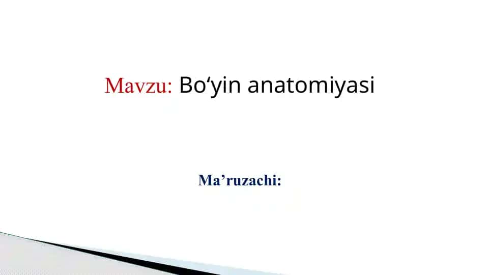 Bo‘yin anatomiyasi