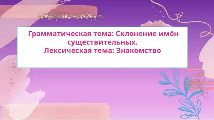 Грамматическая тема: Склонение имен существительных