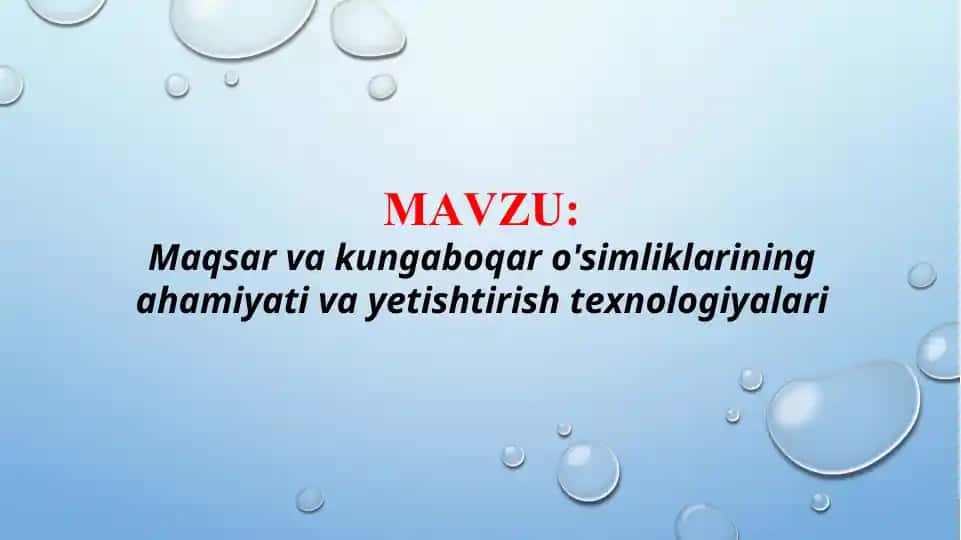 Maqsar va kungaboqar o'simliklarining ahamiyati va yetishtirish texnologiyalari (TAQDIMOT)