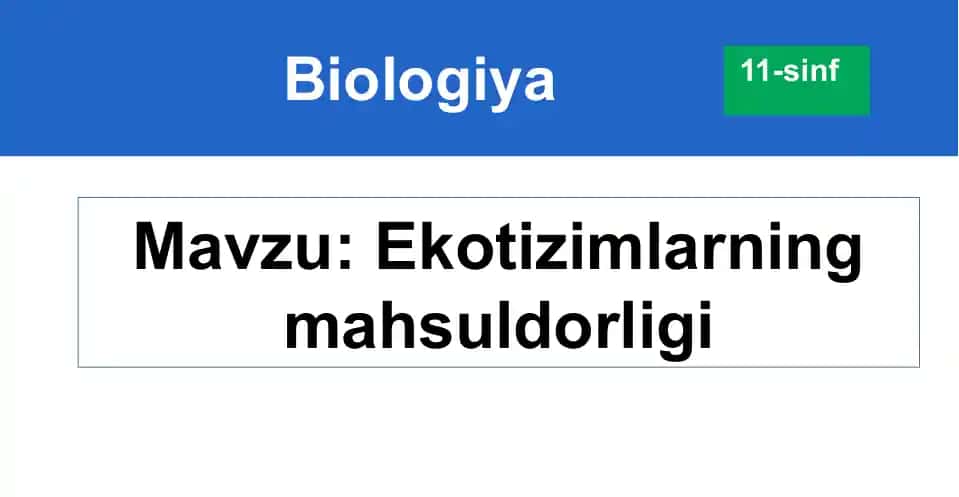 Ekotizimlarning mahsuldorligi