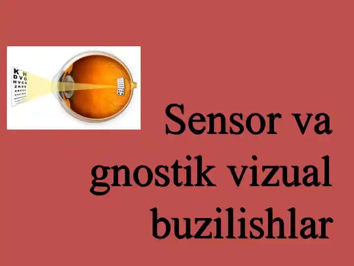 Sensor va gnostik vizual buzilishlar