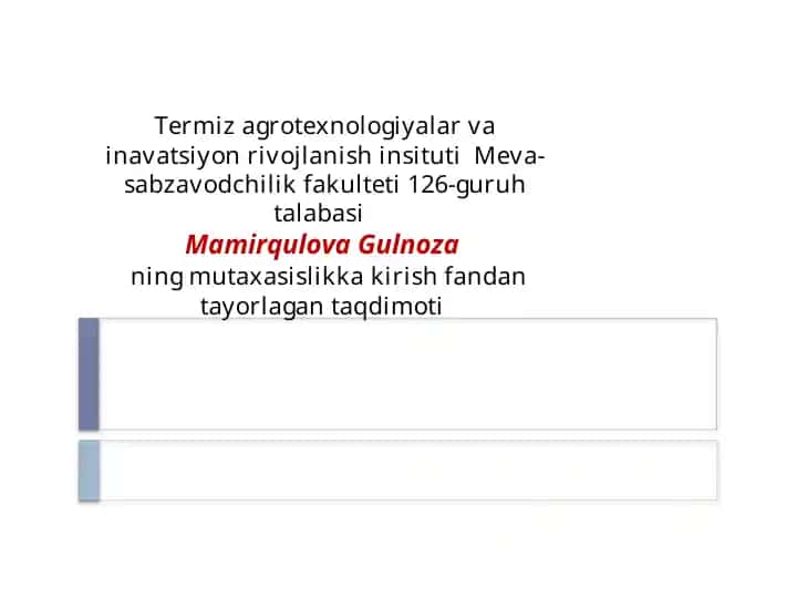 Termiz agro texnologiyalari va inavatsiyon rivojlanishi instituti Meva-sabzavodchilik fakulteti 126-guruh talabasi - Mamirqulova Gulnoza