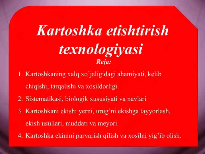 Kartoshka