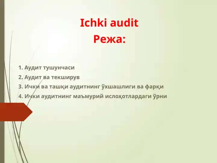 Ichki audit
