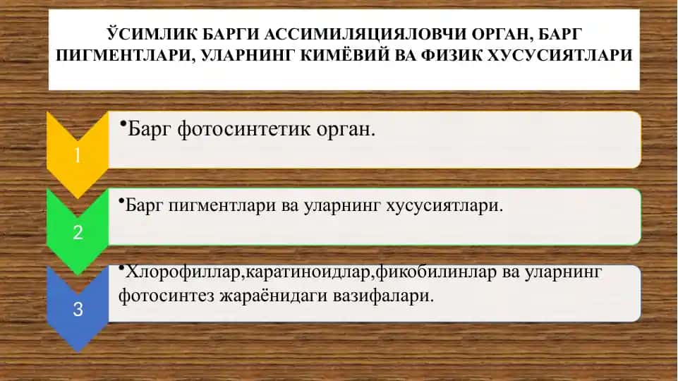Баргнинг тузилиши ва хлоропласт пигментлари