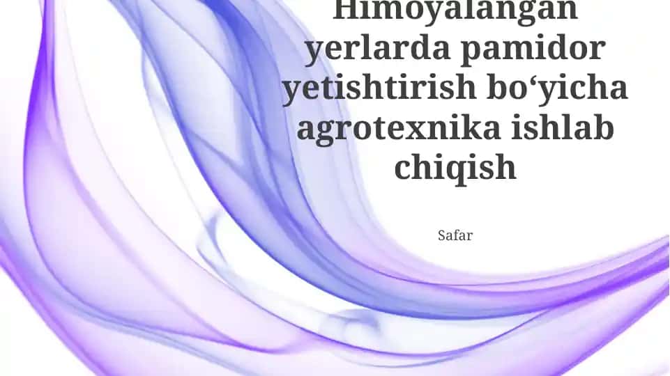 Pomidor yetishtirish uchun agrotexnika ishlab chiqish