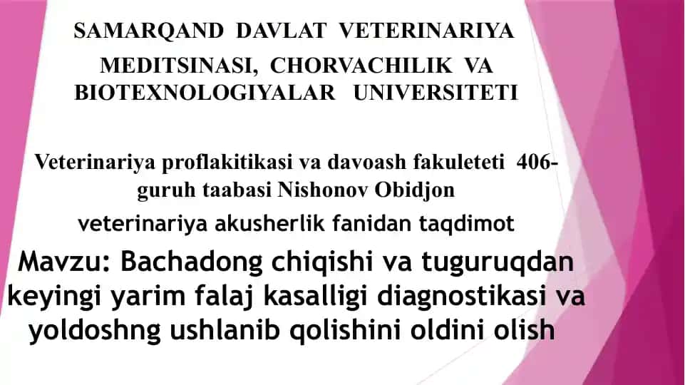 Veterinariya akusherlik fanida taqdimot