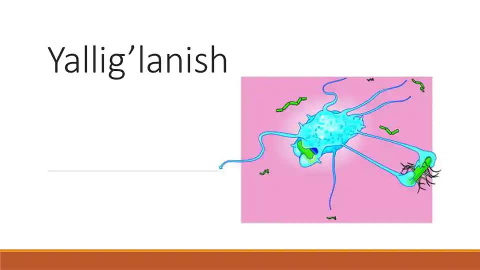 Yallig’lanish