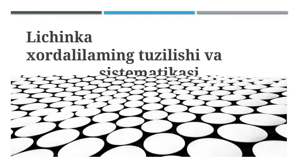 Lichinka xordalilarining tuzilishi va sistematikasi
