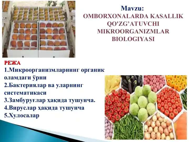 OMBORXONALARDA KASALLIK QO'ZG’ATUVCHI MIKROORGANIZMLAR BIOLOGIYASI