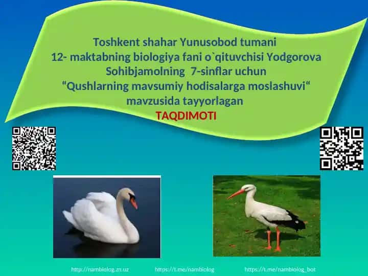 Qushlar migratsiyasiga sabab bo`luvchi omillar