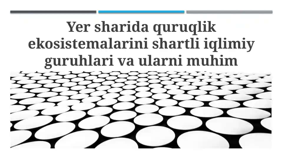 Yer sharida quruqlik ekosistemalari va ularning biotsenozlari